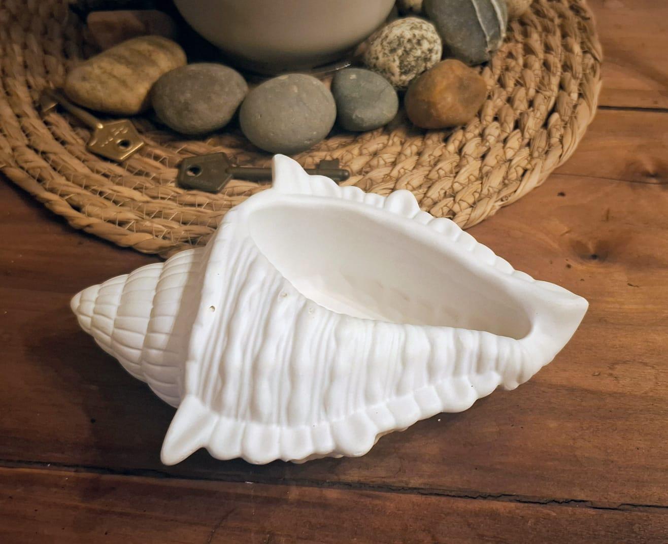 macetero caracola yeso iluminart